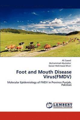Foot and Mouth Disease Virus(FMDV) 1