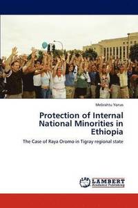 bokomslag Protection of Internal National Minorities in Ethiopia