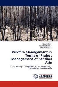 bokomslag Wildfire Management in Terms of Project Management of Sentinel Asia