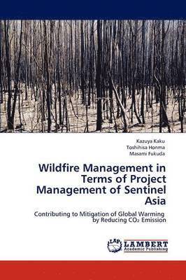 Wildfire Management in Terms of Project Management of Sentinel Asia 1