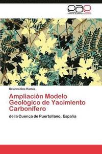 bokomslag Ampliacin Modelo Geolgico de Yacimiento Carbonfero