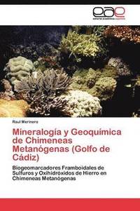 bokomslag Mineraloga y Geoqumica de Chimeneas Metangenas (Golfo de Cdiz)