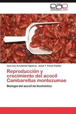 bokomslag Reproduccion y Crecimiento del Acocil Cambarellus Montezumae