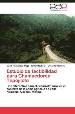 Estudio de factibilidad para Chamaedorea Tepejilote 1