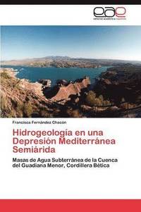 bokomslag Hidrogeologa en una Depresin Mediterrnea Semirida
