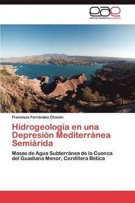 bokomslag Hidrogeologa en una Depresin Mediterrnea Semirida