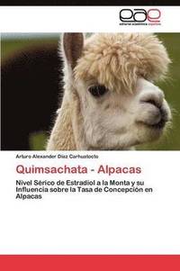 bokomslag Quimsachata - Alpacas