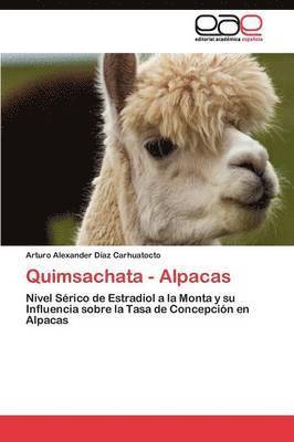 Quimsachata - Alpacas 1