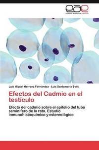 bokomslag Efectos del Cadmio en el testculo