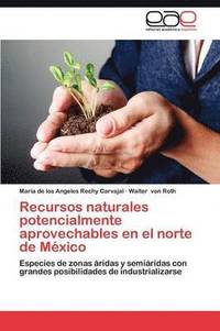 bokomslag Recursos Naturales Potencialmente Aprovechables En El Norte de Mexico