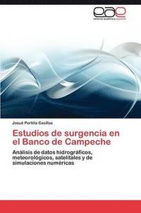 bokomslag Estudios de surgencia en el Banco de Campeche