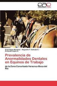 bokomslag Prevalencia de Anormalidades Dentales En Equinos de Trabajo
