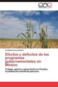 bokomslag Efectos y defectos de los programas gubernamentales en Mxico