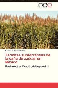 bokomslag Termitas Subterraneas de La Cana de Azucar En Mexico