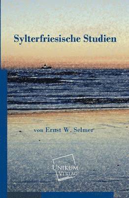 bokomslag Sylterfriesische Studien