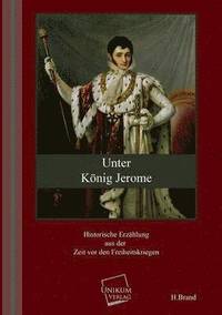 bokomslag Unter Konig Jerome