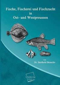 bokomslag Fische, Fischerei Und Fischzucht in Ost- Und Westpreussen