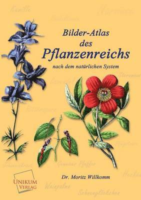 Bilder-Atlas Des Pflanzenreichs 1