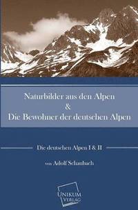 bokomslag Naturbilder Aus Den Alpen