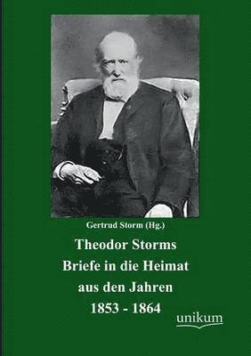 bokomslag Theodor Storms Briefe in die Heimat aus den Jahren 1853-1864