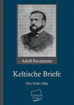 bokomslag Keltische Briefe