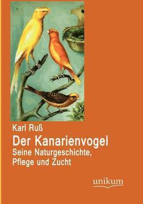 bokomslag Der Kanarienvogel