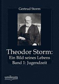 bokomslag Theodor Storm