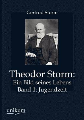 bokomslag Theodor Storm