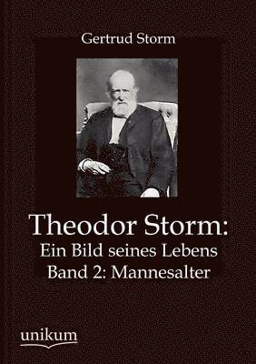 bokomslag Theodor Storm