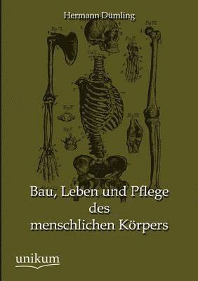 bokomslag Bau, Leben und Pflege des menschlichen Koerpers