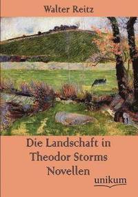 bokomslag Die Landschaft in Theodor Storms Novellen