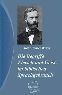 bokomslag Die Begriffe Fleisch Und Geist Im Biblischen Sprachgebrauch