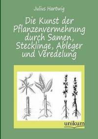 bokomslag Die Kunst Der Pflanzenvermehrung Durch Samen, Stecklinge, Ableger Und Veredelung