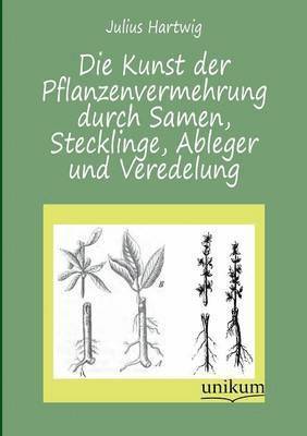 Die Kunst Der Pflanzenvermehrung Durch Samen, Stecklinge, Ableger Und Veredelung 1