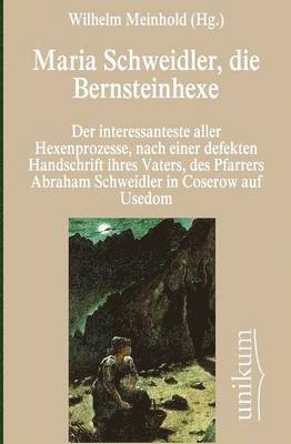 bokomslag Maria Schweidler, die Bernsteinhexe