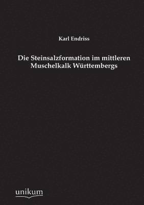 bokomslag Die Steinsalzformation Im Mittleren Muschelkalk Wurttembergs