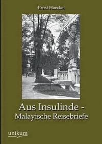 bokomslag Aus Insulinde - Malayische Reisebriefe