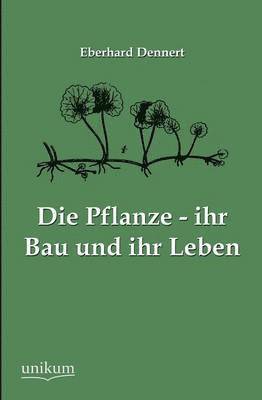 bokomslag Die Pflanze - ihr Bau und ihr Leben