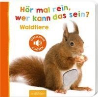 bokomslag Hör mal rein, wer kann das sein? - Waldtiere