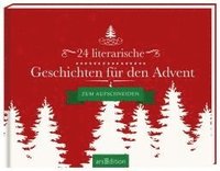 bokomslag 24 literarische Geschichten für den Advent