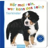 bokomslag Hör mal rein, wer kann das sein? Tierkinder