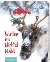 bokomslag Winter im Wichtelwald