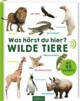 bokomslag Was hörst du hier? - Wilde Tiere