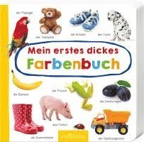 bokomslag Mein erstes dickes Farbenbuch