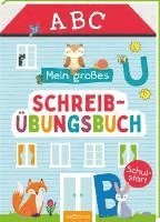 bokomslag Mein großes Schreibübungsbuch