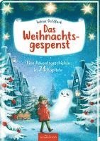 bokomslag Das Weihnachtsgespenst