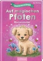 bokomslag Lesen lernen mit Magie: Auf magischen Pfoten