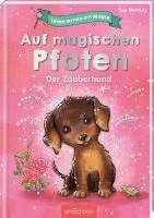 bokomslag Lesen lernen mit Magie: Auf magischen Pfoten