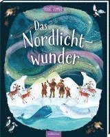 bokomslag Das Nordlichtwunder