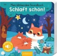 bokomslag Mein blinkendes Soundbuch - Schlaft schön!